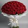 Букет 101 Красная роза Блэк Мэджик в Пронске