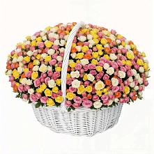 Премиум букет из: Розы в Пронске