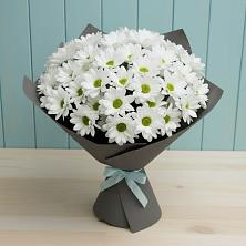 Букет цветов из:  Хризантемы в Пронске