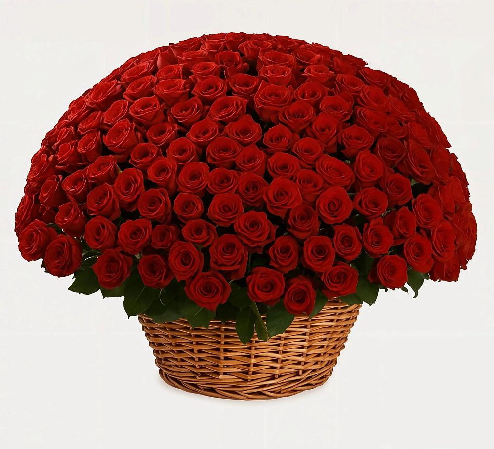 Премиум букет из: Розы в Пронске