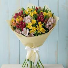 Букет цветов из:  Альстромерии в Пронске