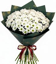 Букет цветов из:  Хризантемы в Пронске