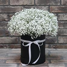 Цветочная композиция из Гипсофила в шляпной коробке #REPLACE_PRED# Пронске