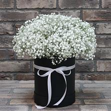 Цветочная композиция из Гипсофила в шляпной коробке в Пронске