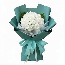 Букет цветов из:  Гортензия в Пронске